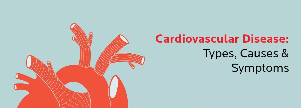 Cardiovascular Diseases: A Comprehensive Guide On Its Causes, Symptoms, & Treatment